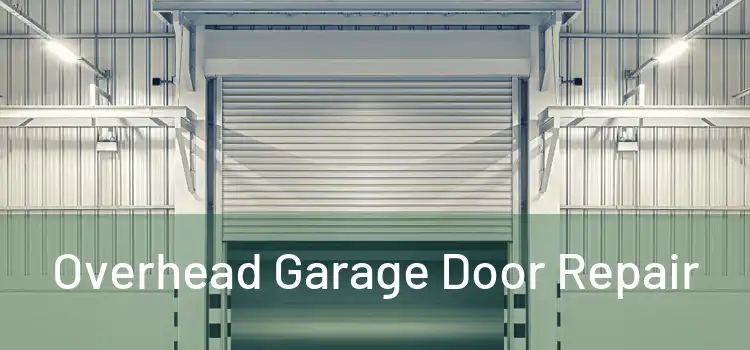  Overhead Garage Door Repair 
